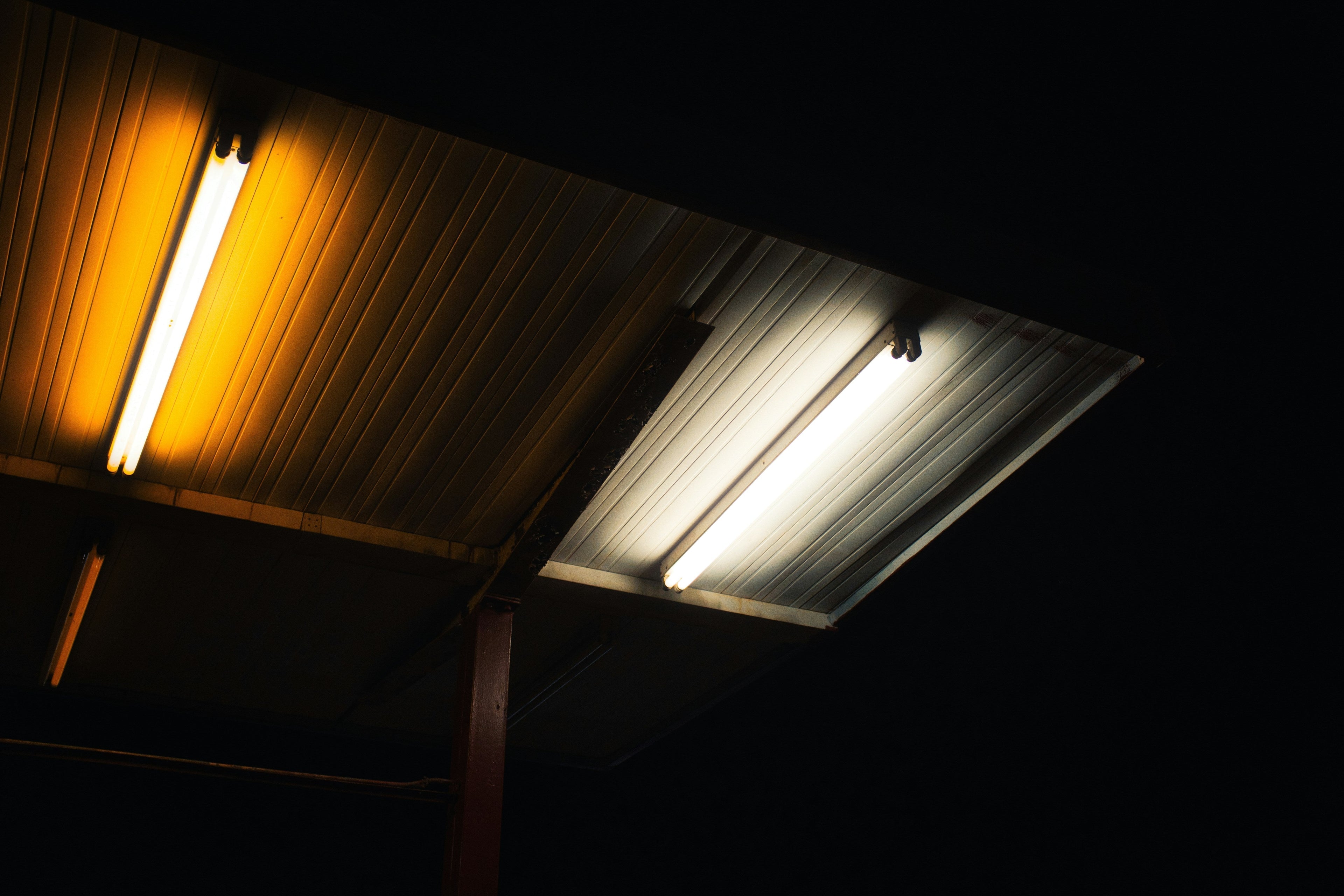 Warm Light vs. Cool Light — Which Bulbs Should You Actually Be Using?