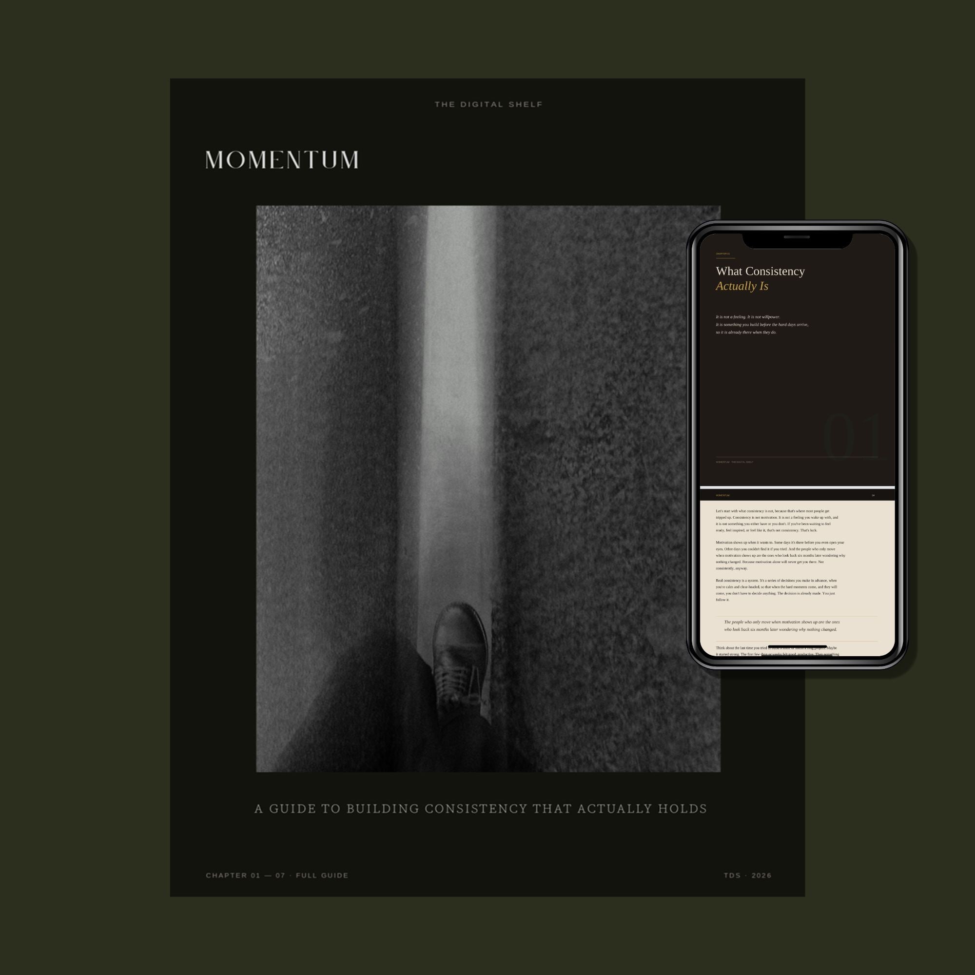 Momentum